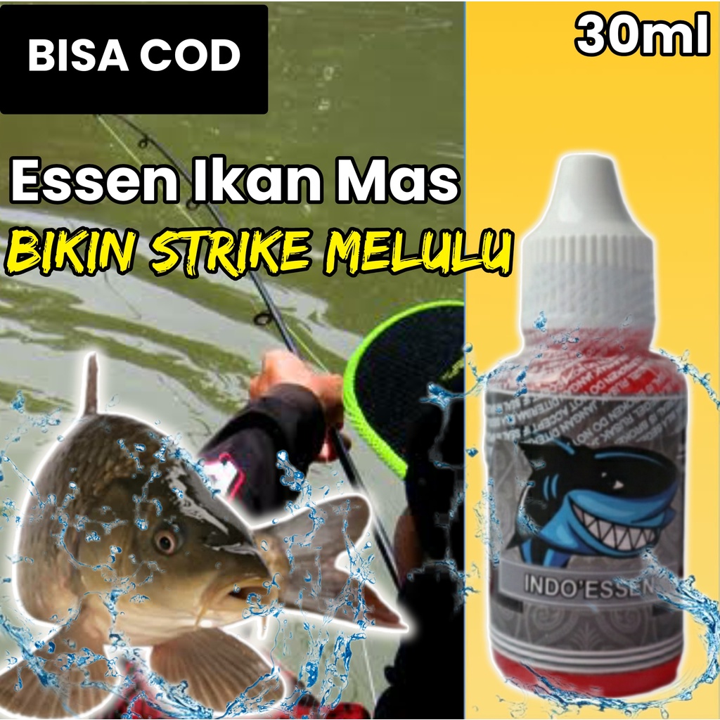 Umpan Essen Ikan Mas Neter Terus Paling Gacor,Essen Ikan Mas Indo Essen,Essen Ikan Mas,Essen Ikan Ma