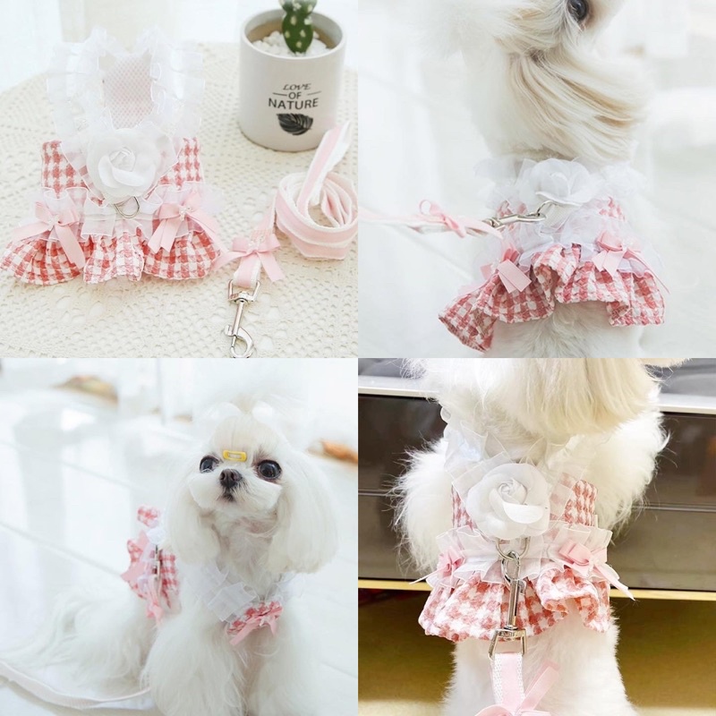 Pinke premium coco pawnel harness set