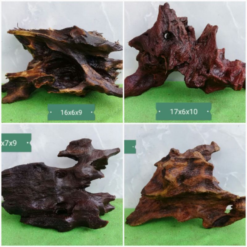 "Kayu rentek aquascape tenggelam"