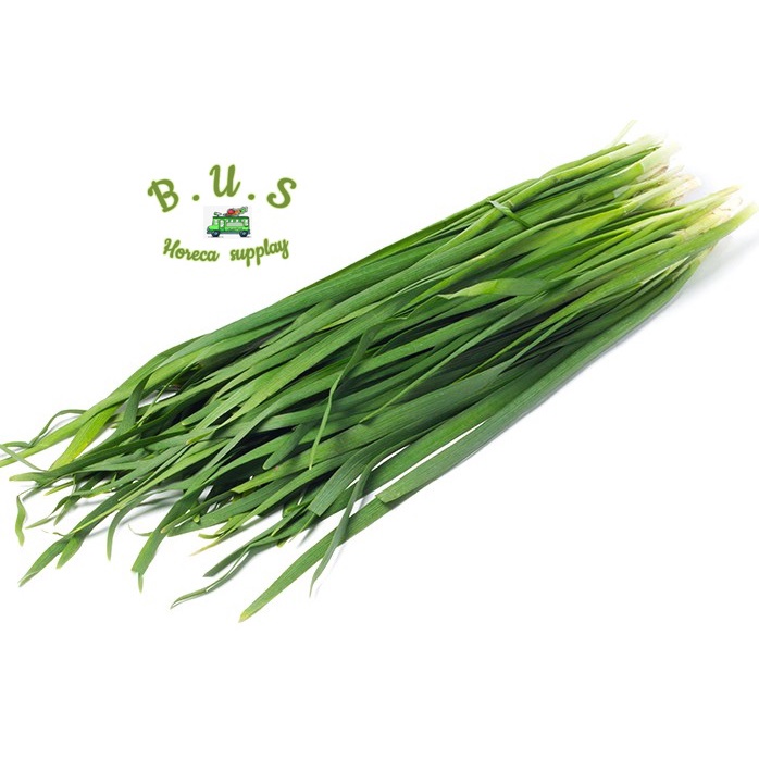 

Kucai /Ikat 1 Kg B.U.S