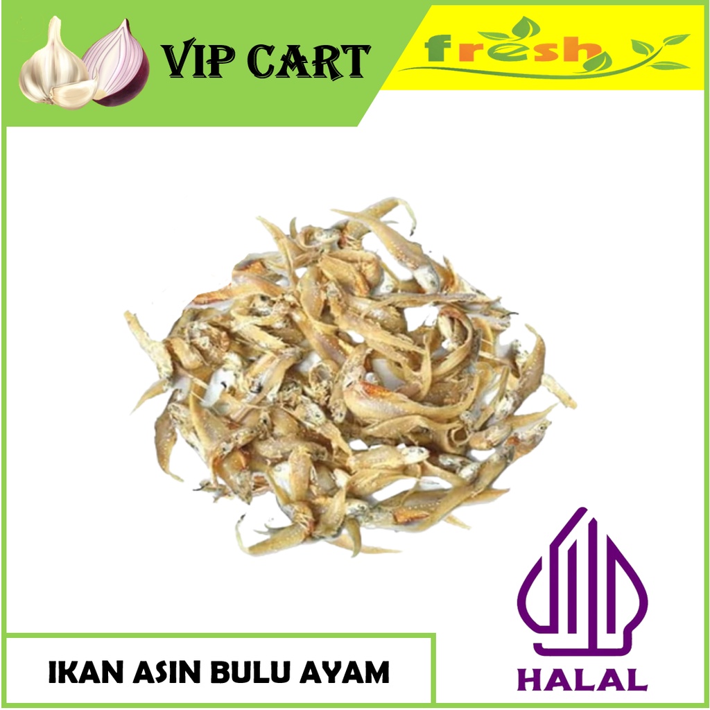 

IKAN ASIN BULU AYAM FRESH