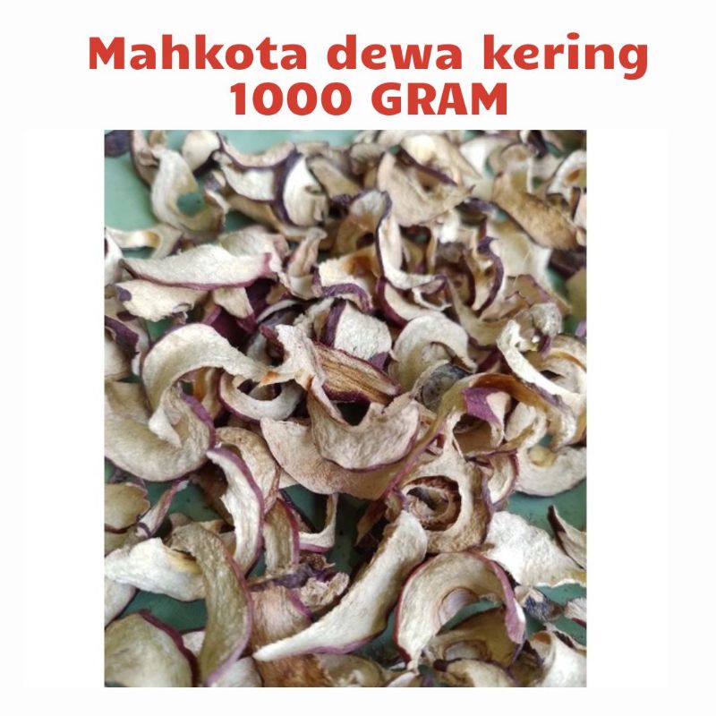 

Herbal Mahkota dewa kering 1 kg asli purworejo