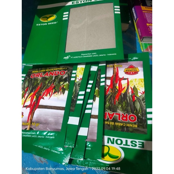 Cabe besar ORLANDO F1