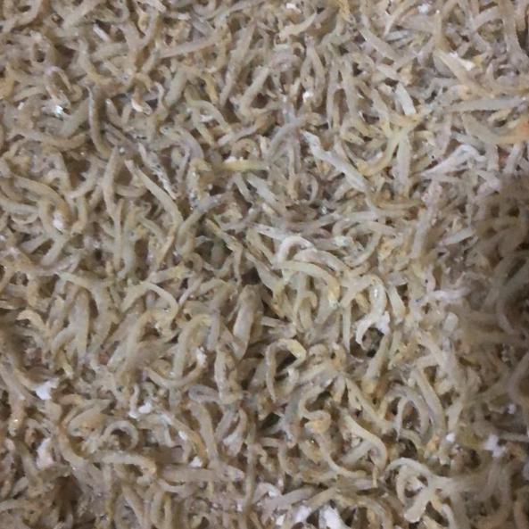 

codek9K4w--Teri Medan / Teri Nasi per 100gr