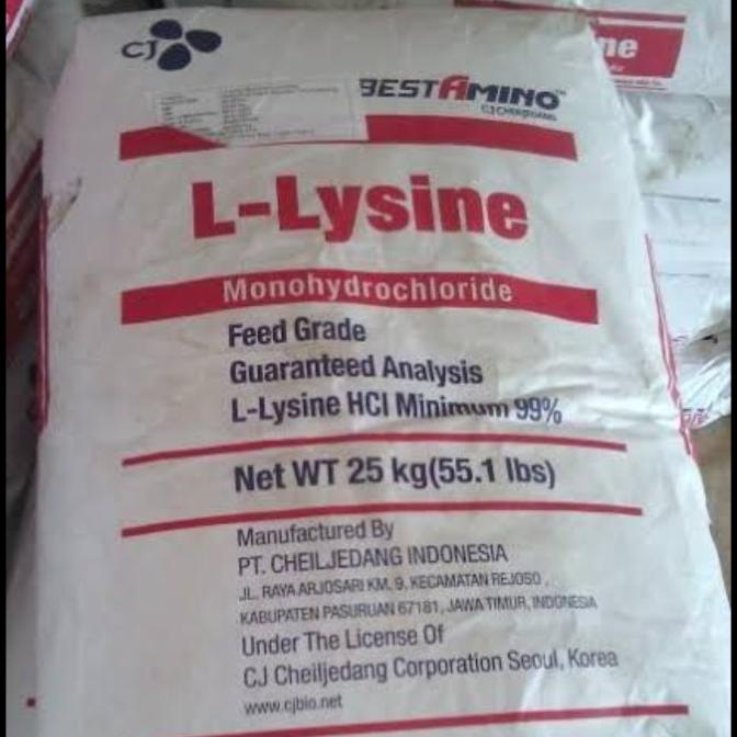 Baru L-lysine 25kg untuk hewan