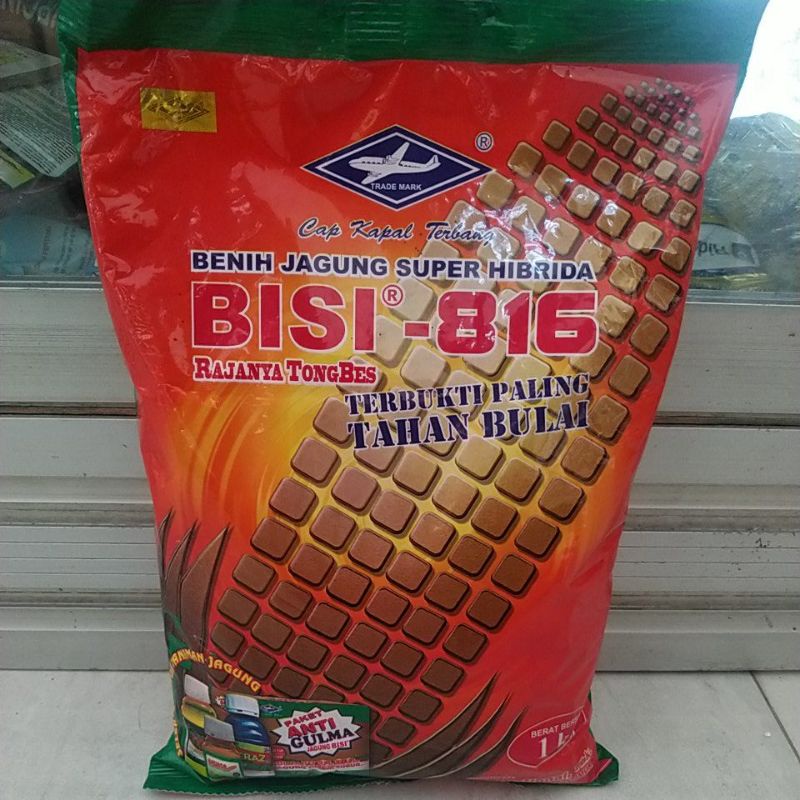 benih jagung BISI 816