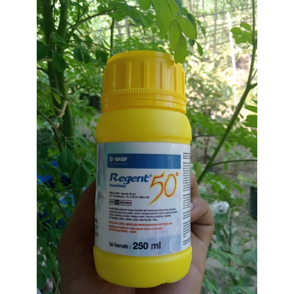 regent 250 ml