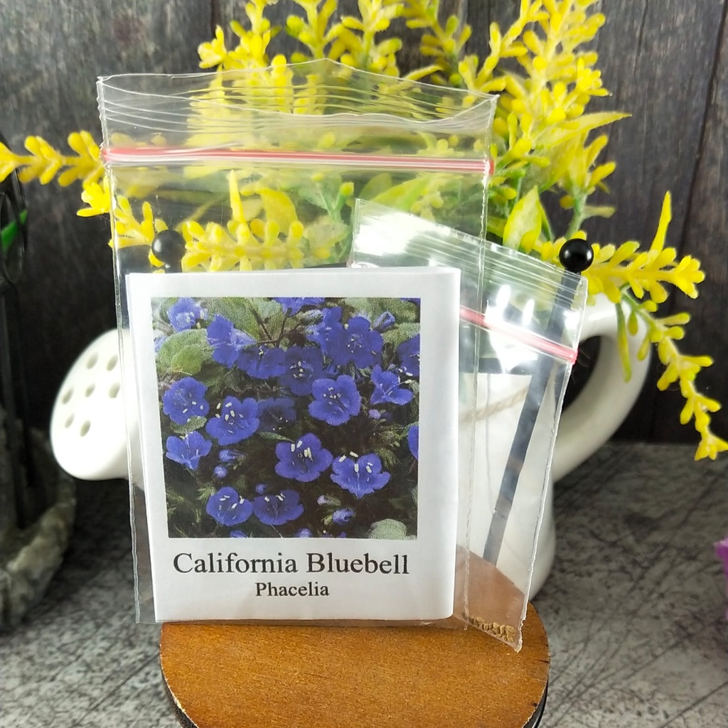 4 Seeds - California Bluebell Phacelia Biji - SR0215