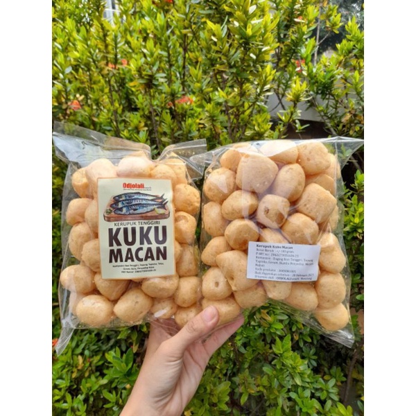 

Kuku Macan