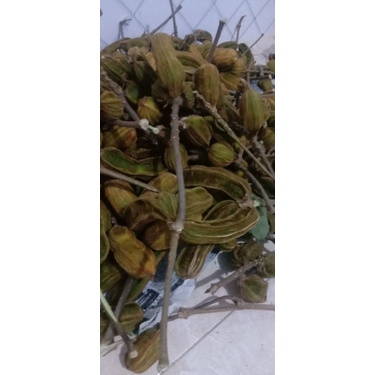 

buah salju fresh Bedugul