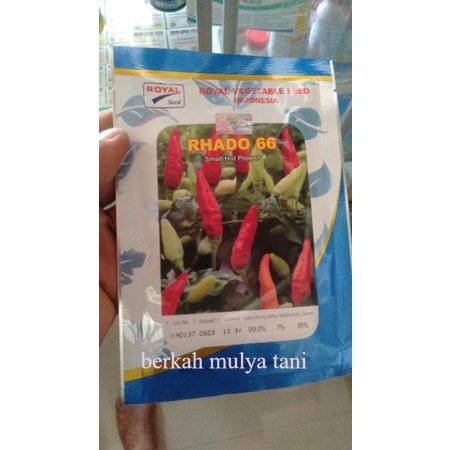 benih cabe rawit type ori 212