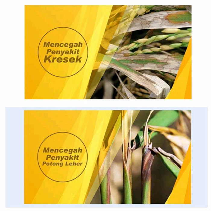 Buyer Pupuk Organik Cair GDM pangan untuk PADI - 1 liter *v;