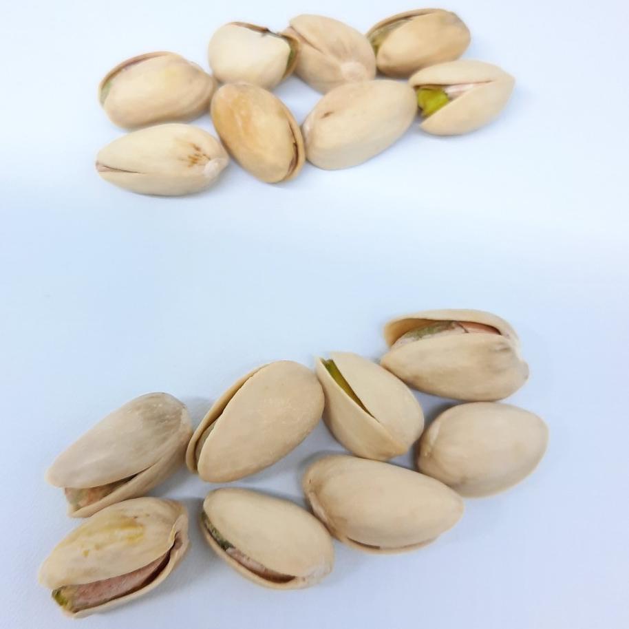 

EXCLUSIVE!Kacang Pistachio Roasted Salty 500gr (Matang)|SQ3