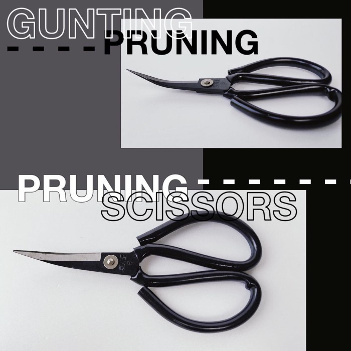 

Menakjubkan Gunting Pruning,Gunting Bonsai Tajam Ujung Bengkok Berkualitas Trendi
