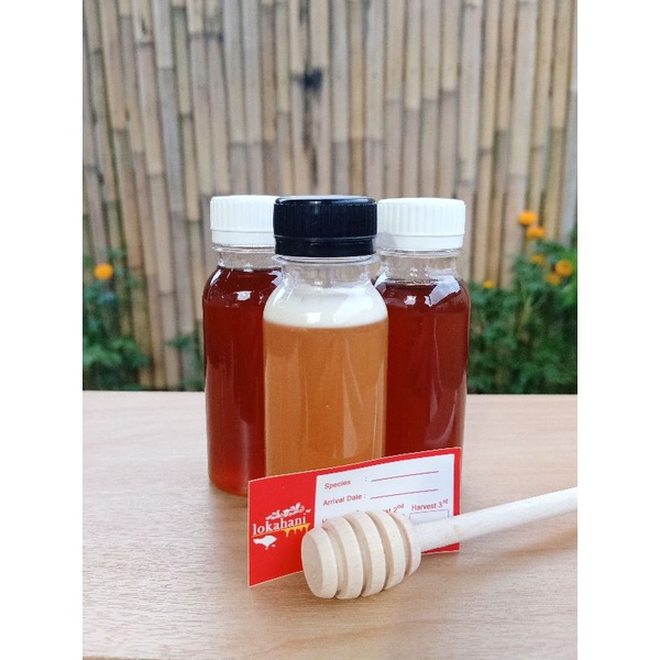 

MADU TRIGONA MURNI 100 ml | MADU KLANCENG | MADU KELE-KELE