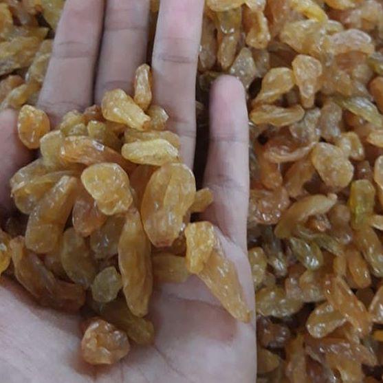 

10.10 BIG SALE FASION kismis kristal kuning asam manis ukuran 1kg serbuuu !