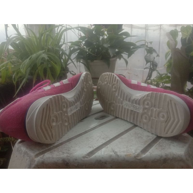 sl 72 baby pink maroun