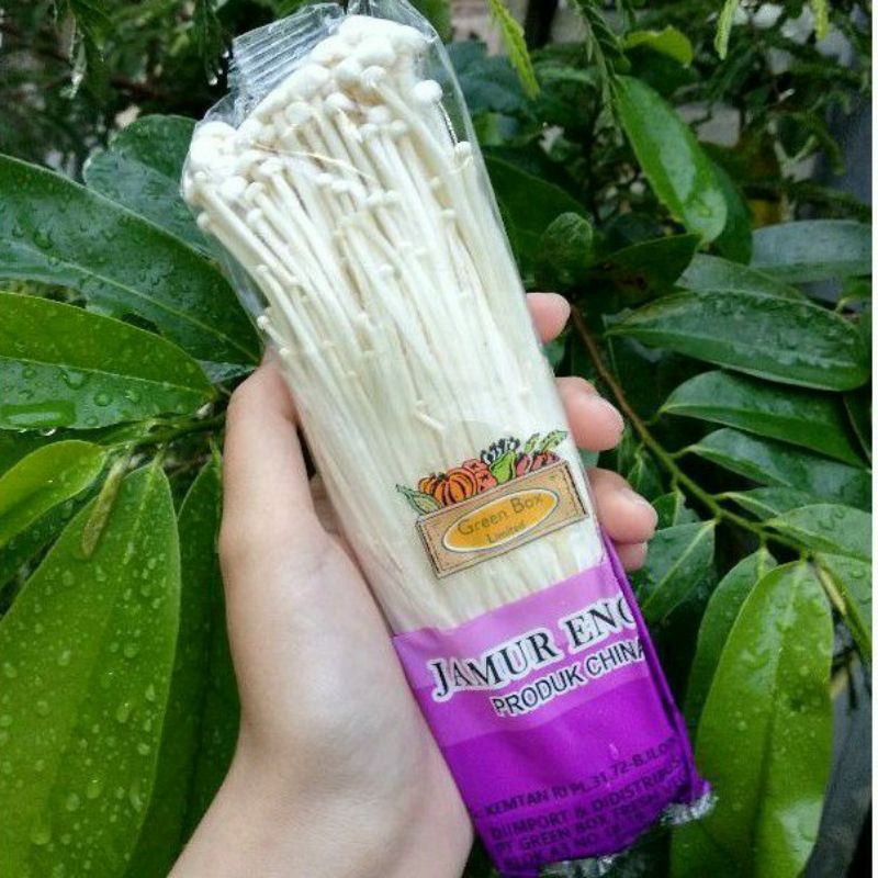 

Jamur Enoki 100% Halal/ Jamur Enoki
