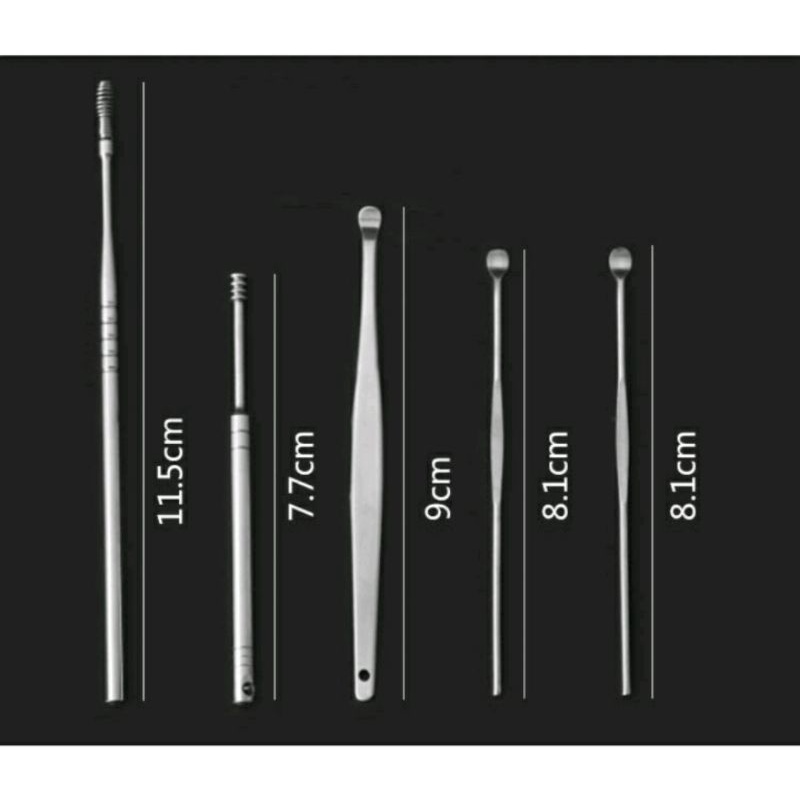 ALAT KOREK KUPING SET 5 IN 1 STAINLESS STEEL EARPICK