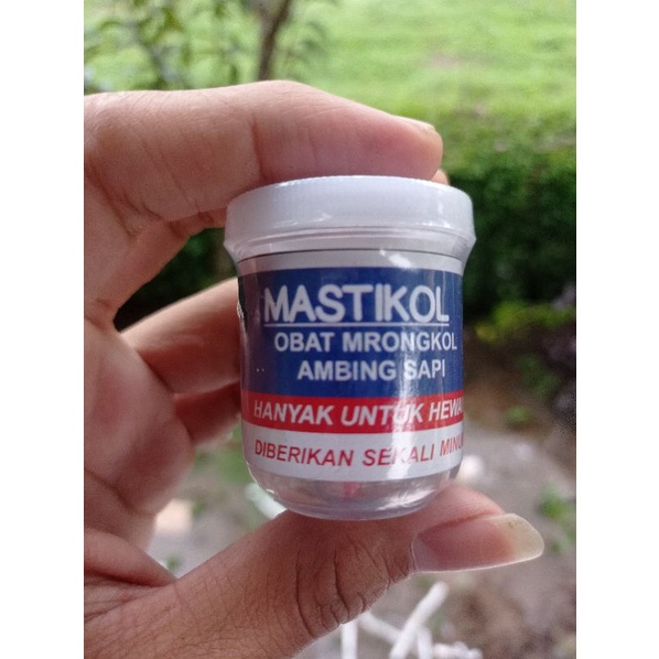 Mastikol obat mrongkol / mastitis sapi kambing obat radang ambing ternak
