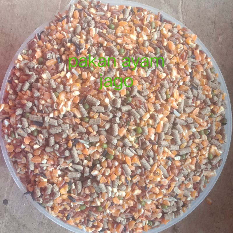 pakan ayam aduan super