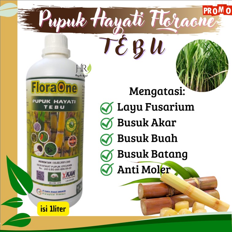 Pupuk Tebu Terbaik, Pupuk hayati Tebu Hijau, Nutrisi Pohon Tebu Yang Baik  Fungisida Tanaman Tebu Pu