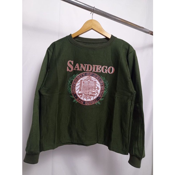 SANDIEGO CROOPE SWEATER VREWNECK