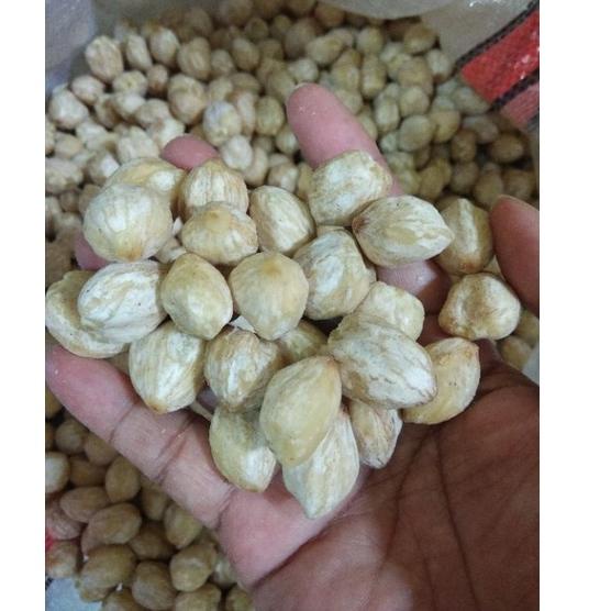 

CSM2y2X--Biji Kemiri Super 1 kg atau 1000 gram Kemiri Bulat Kemiri Utuh