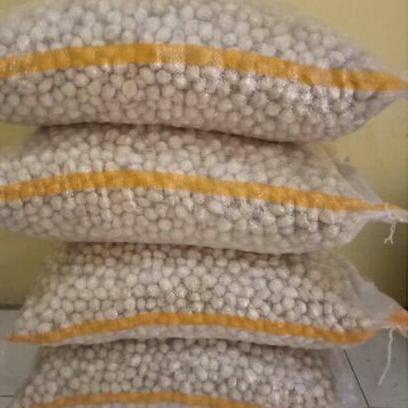 

Stok banyak Kemiri bulat 1 kg atau 1 gram Kemiri Super Kemiri Utuh THJ