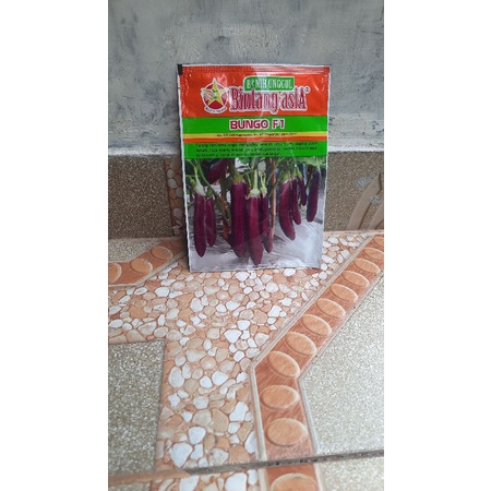Benih Bibit Terong Ungu F1 Bungo 5 gram Bintang Asia
