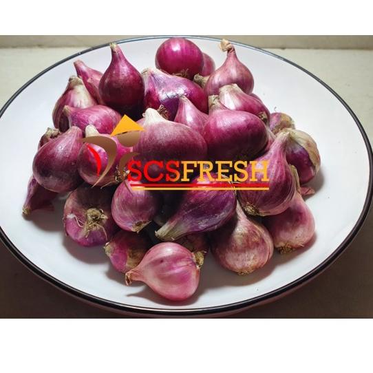 

KODEl2L6x--Bawang Merah 500 GRAM