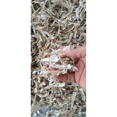 

ikan kering teri tawar