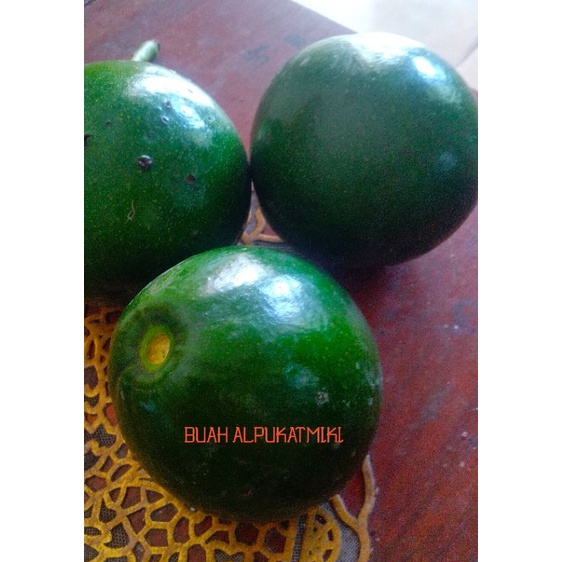 BUAH ALPUKAT MIKI 1KG ISI 2/3/4 BUAH TINGGAL PILIH SESUAI PESANAN