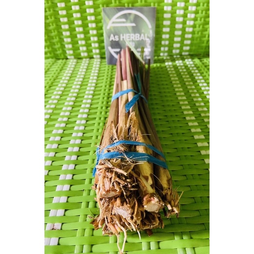 Bibit sereh merah / bibit sereh wangi / bibit sereh lanang