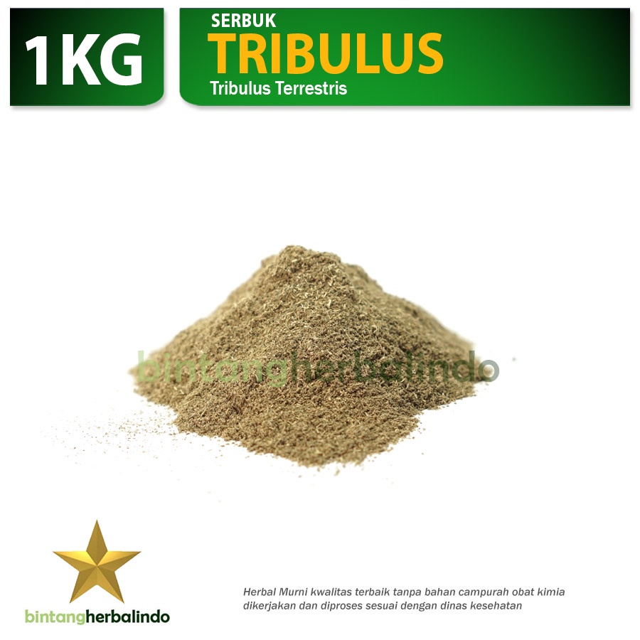 

Serbuk EXTRACT TRIBULUS Meningkatkan Massa Otot 1kg