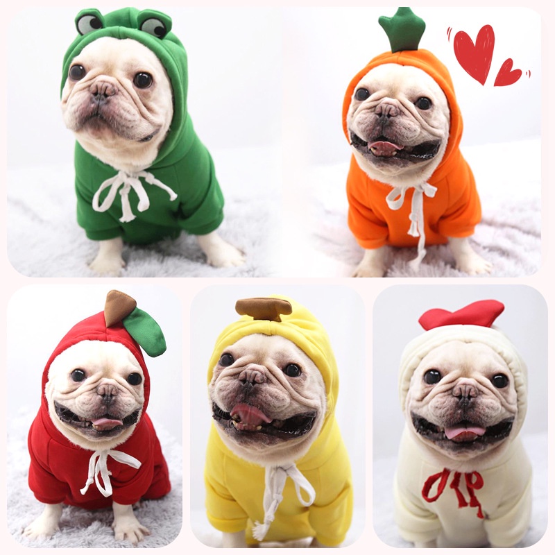 Sweater hoodie kucing/anjing lucu model buah dan hewan