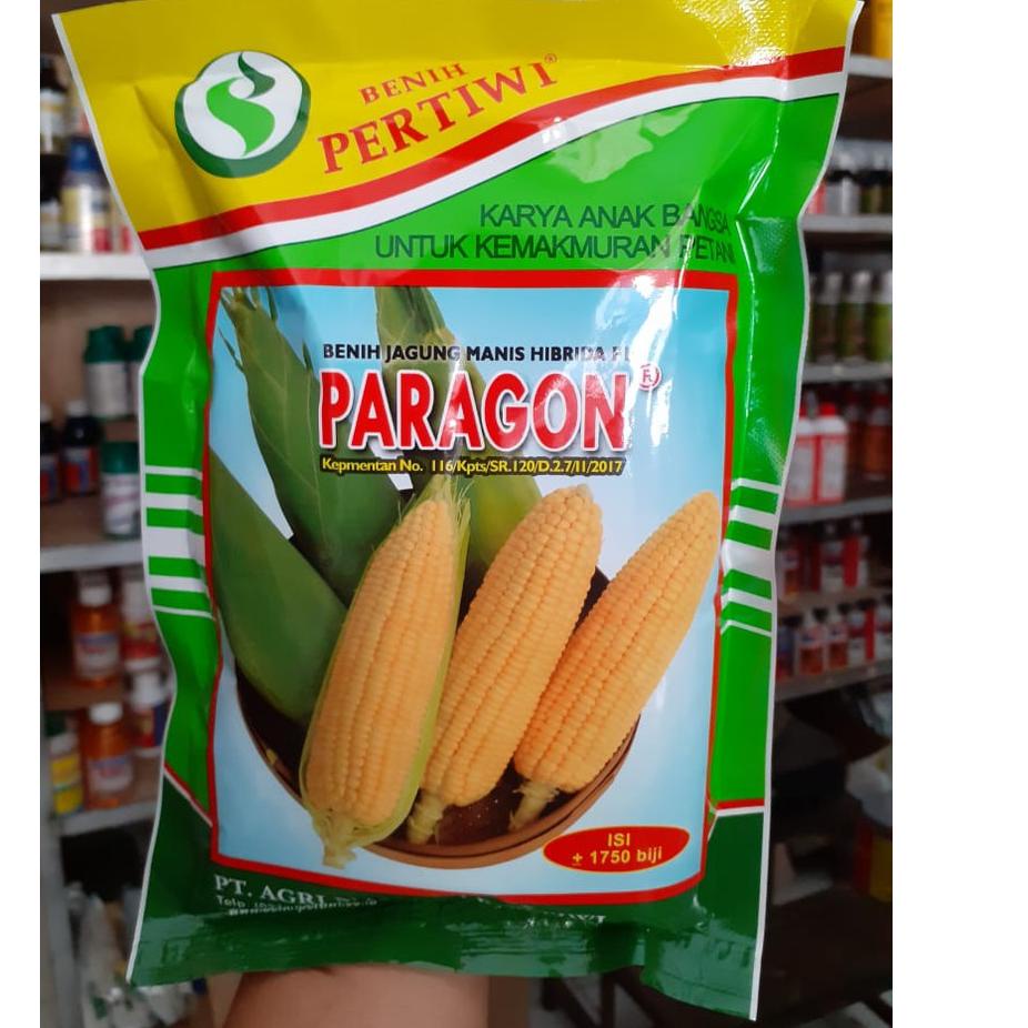 Swip up!!! Benih JAGUNG MANIS PARAGON isi +/-1750 biji/Paragon 250g -+1750/Benih jagung manis unggul