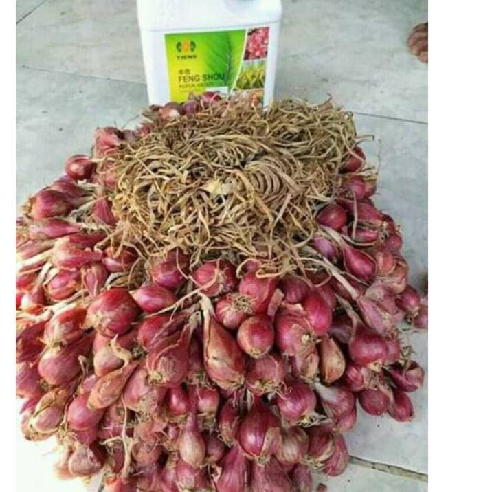 Terbaru.. PUPUK FENG SHOU TIENS | FENG SHOU PUPUK HAYATI | PENYUBUR TANAMAN