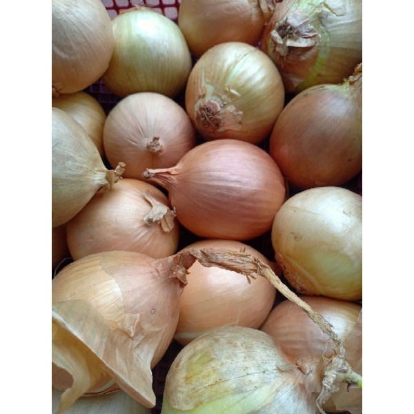 

Bawang Bombay
