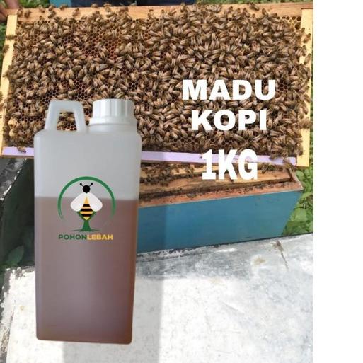 

Ready Stok Madu ASLI nekstar kopi ASLI 1 kg MADU !!!
