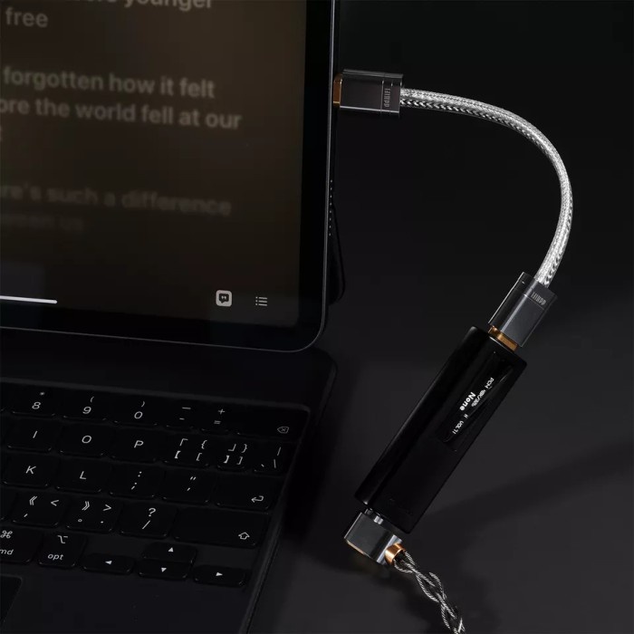 ddHiFi TC09S USB-C to USB C OTG Cable / Type C to Type C Cable