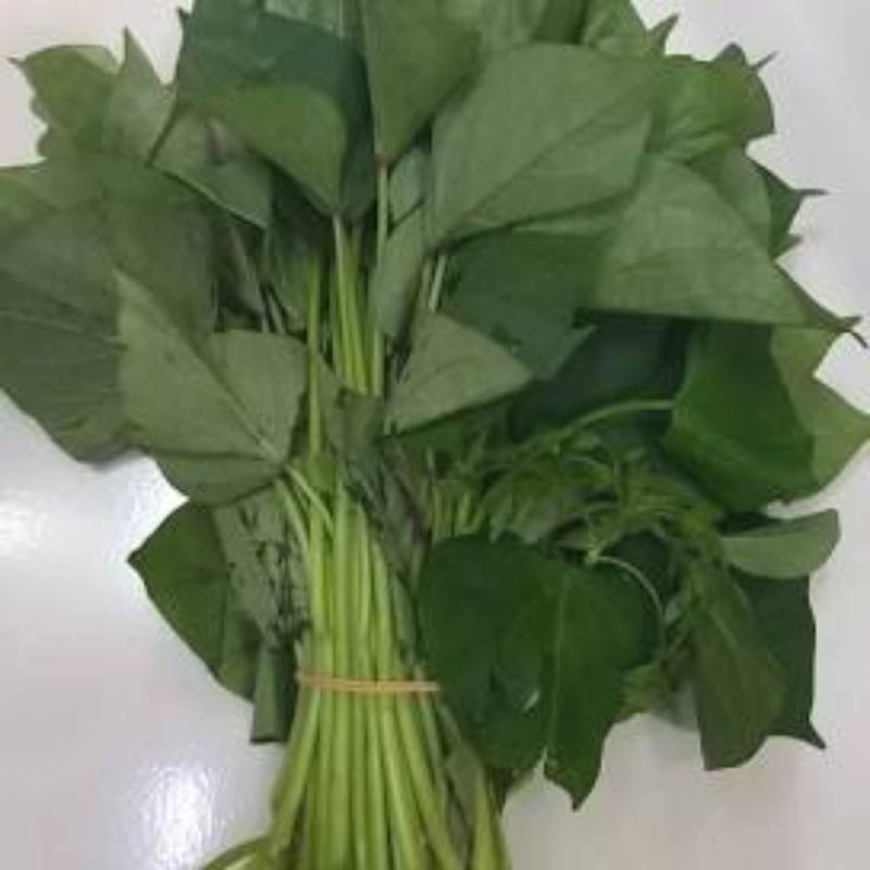 

SAYUR DAUN UBI 1IKAT