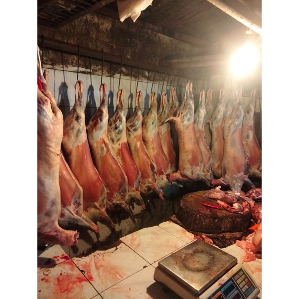 

Ekoran kambing per kg min 10 kg