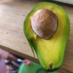 

Alpukat mini 1kg - isi 5 Buah