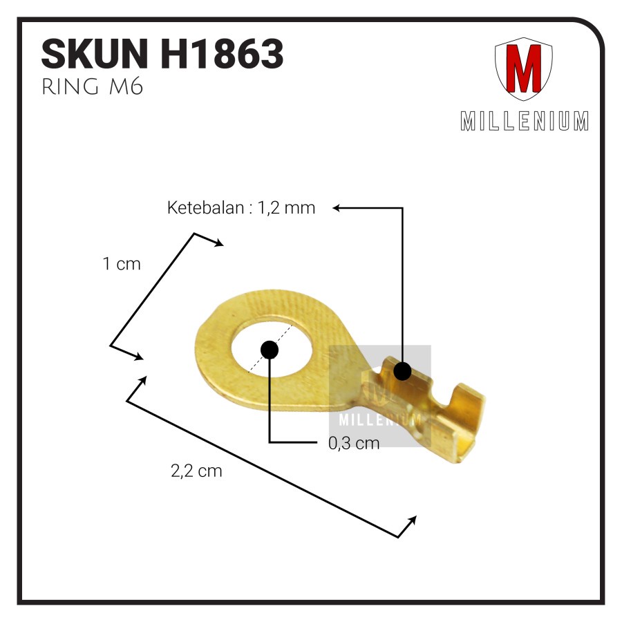 TERMINAL SKUN BULAT RING M6 / SKUN BULAT AKI M6 - 300 / PAKET 100PCS