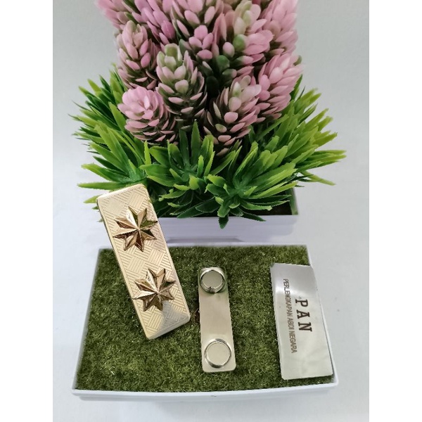 Tanjab Kerah Pangkat Kerah Plat ASN 4D