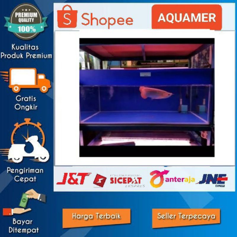 Latar Belakang Biru Akuarium / Background biru aquarium aquascape