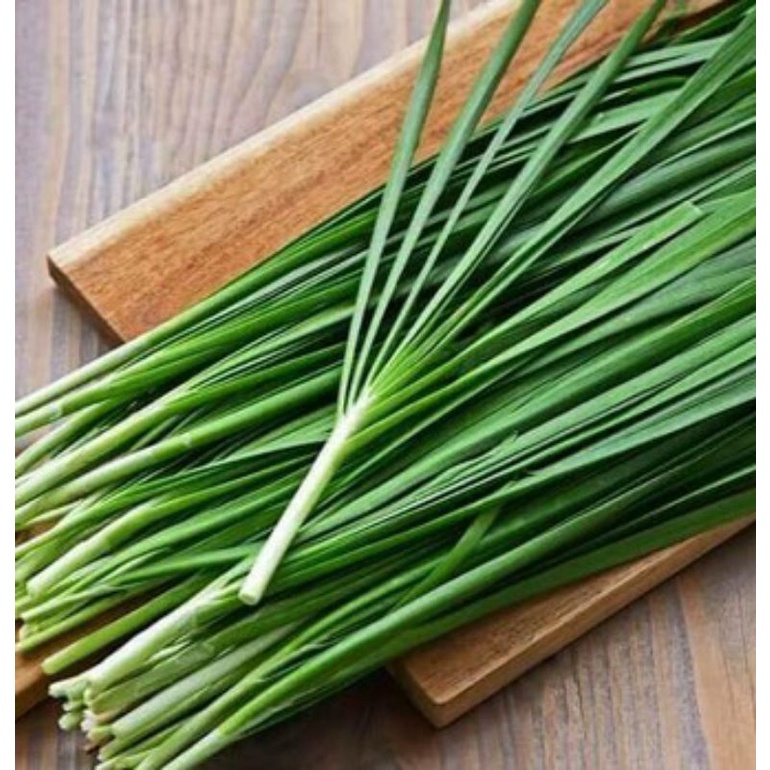 

1 BIBIT DAUN KUCAI SIAP TANAM Beli 10 dapat 11 Daun kucai berkualitas sudah tumbuh panjang & seminggu sekali panen cocok untuk ditanam di rumah