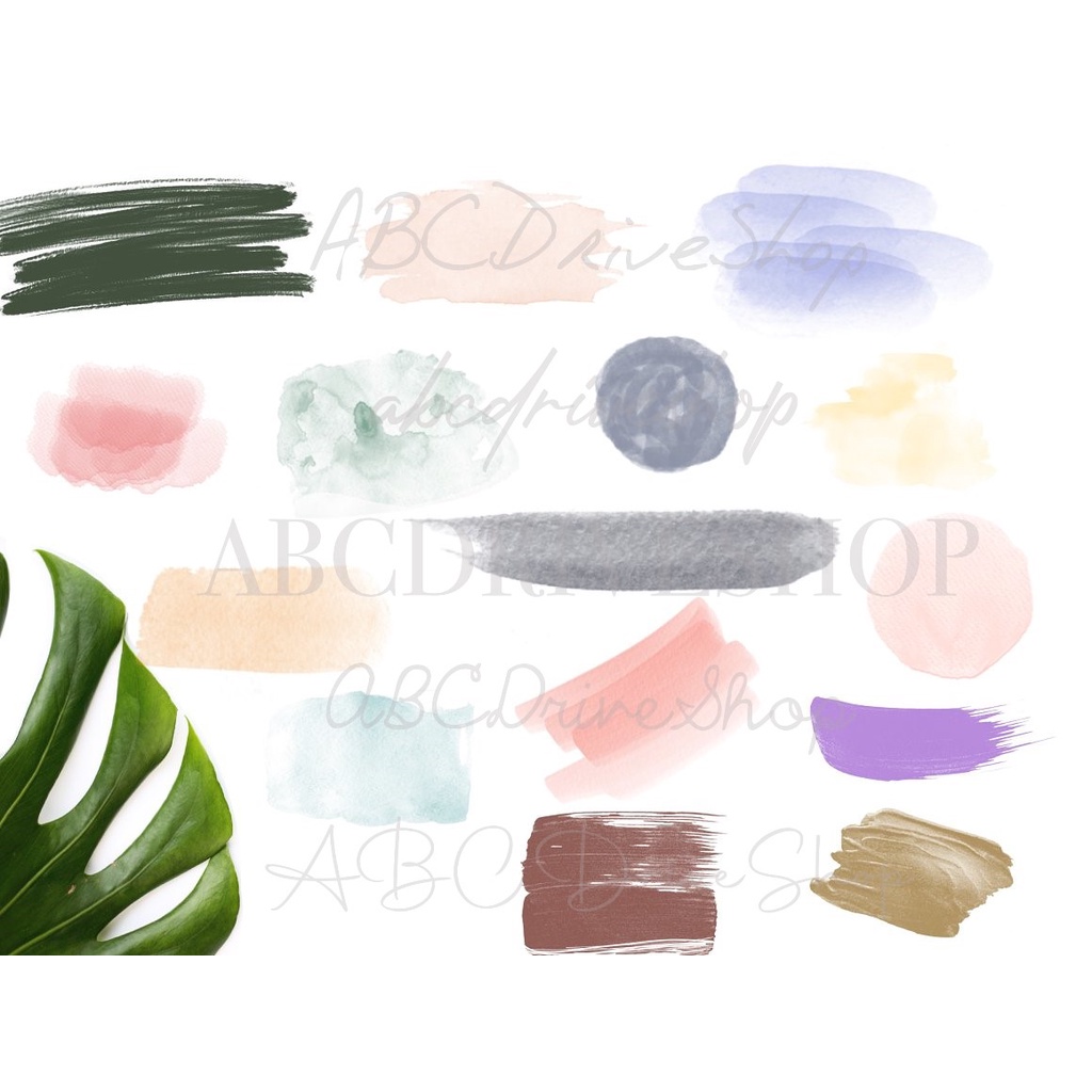 Procreate Brush - Botanica Watercolour Stamp Brushes