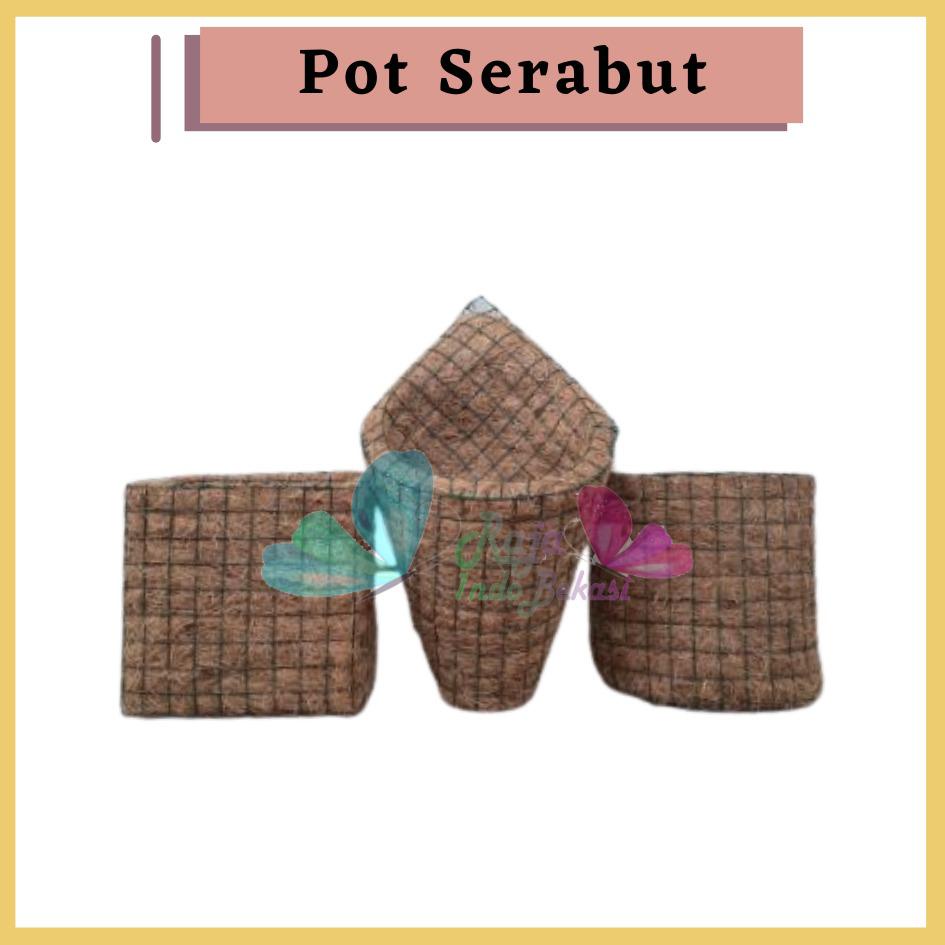 Pot Anggrek Serabut Kelapa Pot Tanaman Pot Bunga Termurah Pot Bagus Cocofiber 500gr Pot Serabut Kelapa Tanaman Anggrek Gantung Tempel Jumbo-Pot sabut kelapa gantung cantik dan elegan